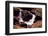 Little Pigeon River, Great Smoky Mountains NP, Tennessee, USA-Jerry Ginsberg-Framed Photographic Print