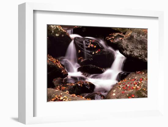 Little Pigeon River, Great Smoky Mountains NP, Tennessee, USA-Jerry Ginsberg-Framed Photographic Print