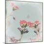 Little Pink Flowers on Blue-Tom Quartermaine-Mounted Giclee Print