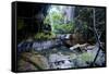 Little Pond in a Rock Crack, Carnarvon Gorge, Queensland, Australia, Pacific-Michael Runkel-Framed Stretched Canvas