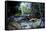 Little Pond in a Rock Crack, Carnarvon Gorge, Queensland, Australia, Pacific-Michael Runkel-Framed Stretched Canvas