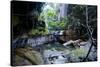 Little Pond in a Rock Crack, Carnarvon Gorge, Queensland, Australia, Pacific-Michael Runkel-Stretched Canvas