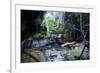 Little Pond in a Rock Crack, Carnarvon Gorge, Queensland, Australia, Pacific-Michael Runkel-Framed Photographic Print