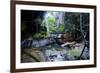 Little Pond in a Rock Crack, Carnarvon Gorge, Queensland, Australia, Pacific-Michael Runkel-Framed Photographic Print