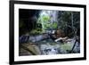 Little Pond in a Rock Crack, Carnarvon Gorge, Queensland, Australia, Pacific-Michael Runkel-Framed Photographic Print