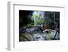 Little Pond in a Rock Crack, Carnarvon Gorge, Queensland, Australia, Pacific-Michael Runkel-Framed Photographic Print