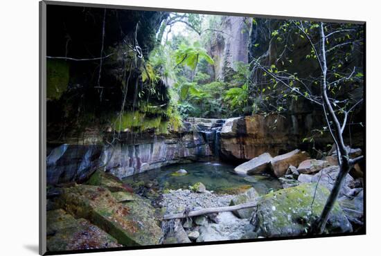 Little Pond in a Rock Crack, Carnarvon Gorge, Queensland, Australia, Pacific-Michael Runkel-Mounted Photographic Print