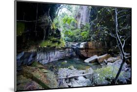 Little Pond in a Rock Crack, Carnarvon Gorge, Queensland, Australia, Pacific-Michael Runkel-Mounted Photographic Print