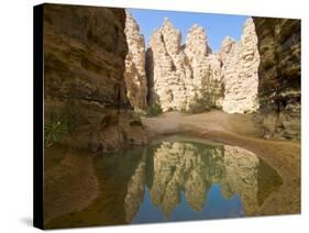 Little Pool in the Essendilene Gorge, Near Djanet, Southern Algeria, North Africa, Africa-Michael Runkel-Stretched Canvas