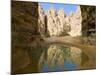 Little Pool in the Essendilene Gorge, Near Djanet, Southern Algeria, North Africa, Africa-Michael Runkel-Mounted Photographic Print