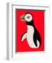 Little Puffin-null-Framed Giclee Print