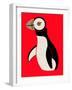 Little Puffin-null-Framed Giclee Print