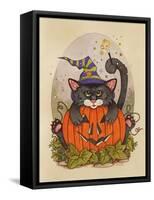 Little Pumpkin-Linda Ravenscroft-Framed Stretched Canvas