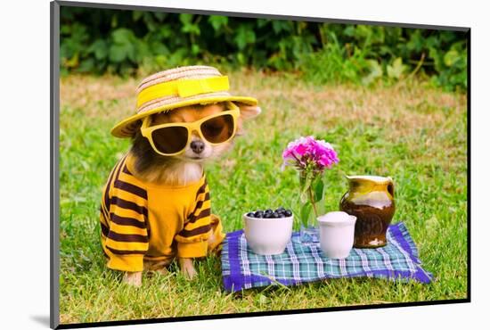 Little Puppy Of Chihuahua Breed At The Picnic On Green Grass-vitalytitov-Mounted Photographic Print