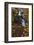 Little Qualicum Falls Provincial Park near Parksville, British Columbia, Canada-Chuck Haney-Framed Photographic Print