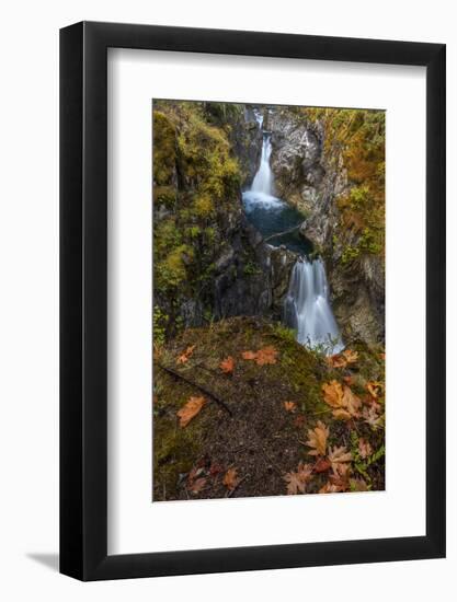 Little Qualicum Falls Provincial Park near Parksville, British Columbia, Canada-Chuck Haney-Framed Photographic Print