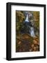 Little Qualicum Falls Provincial Park near Parksville, British Columbia, Canada-Chuck Haney-Framed Photographic Print