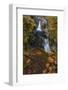 Little Qualicum Falls Provincial Park near Parksville, British Columbia, Canada-Chuck Haney-Framed Photographic Print