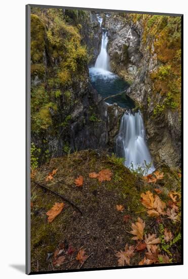 Little Qualicum Falls Provincial Park near Parksville, British Columbia, Canada-Chuck Haney-Mounted Photographic Print