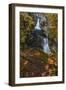 Little Qualicum Falls Provincial Park near Parksville, British Columbia, Canada-Chuck Haney-Framed Photographic Print