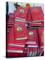 Little Red Books for Sale at the Great Flea Market, Pan Jia Yuan, Beijing, China-Adam Tall-Stretched Canvas