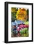 Little Red Grist Mill In Vermont-George Oze-Framed Photographic Print