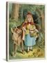 Little Red Riding Hood Forgets Her Mother's Advice and Talks to a Stranger -- the Wolf!-null-Stretched Canvas