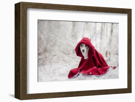 Little Red Riding Hood in Winter-Heike Willers-Framed Photographic Print