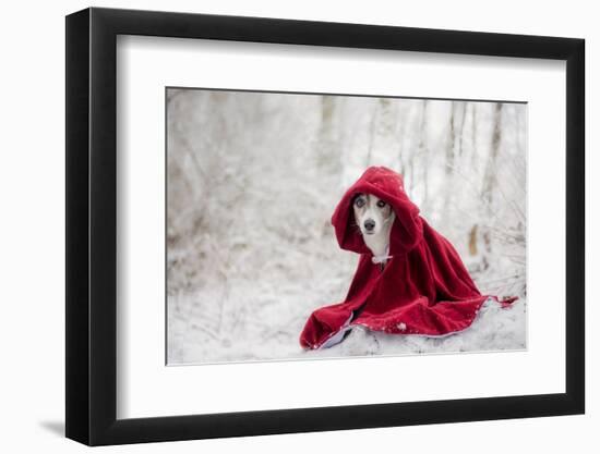 Little Red Riding Hood in Winter-Heike Willers-Framed Photographic Print