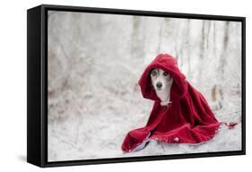 Little Red Riding Hood in Winter-Heike Willers-Framed Stretched Canvas