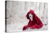 Little Red Riding Hood in Winter-Heike Willers-Stretched Canvas