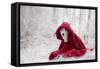 Little Red Riding Hood in Winter-Heike Willers-Framed Stretched Canvas