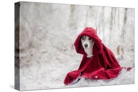 Little Red Riding Hood in Winter-Heike Willers-Stretched Canvas