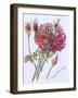 Little Red Roses, 2005-Joan Thewsey-Framed Giclee Print