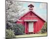 Little Red Schoolhouse-Elizabeth Kay-Mounted Art Print