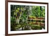 Little Red Southern Footbridge-George Oze-Framed Photographic Print