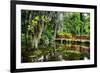 Little Red Southern Footbridge-George Oze-Framed Photographic Print