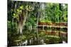 Little Red Southern Footbridge-George Oze-Mounted Photographic Print