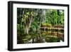 Little Red Southern Footbridge-George Oze-Framed Photographic Print