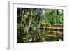 Little Red Southern Footbridge-George Oze-Framed Photographic Print