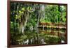 Little Red Southern Footbridge-George Oze-Framed Photographic Print