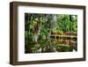 Little Red Southern Footbridge-George Oze-Framed Photographic Print