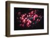 Little Red-Philippe Sainte-Laudy-Framed Photographic Print