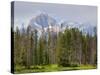 Little Redfish Lake, Sawtooth National Recreation Area, Idaho, USA-Jamie & Judy Wild-Stretched Canvas