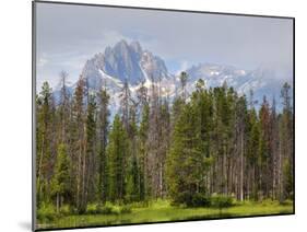 Little Redfish Lake, Sawtooth National Recreation Area, Idaho, USA-Jamie & Judy Wild-Mounted Premium Photographic Print