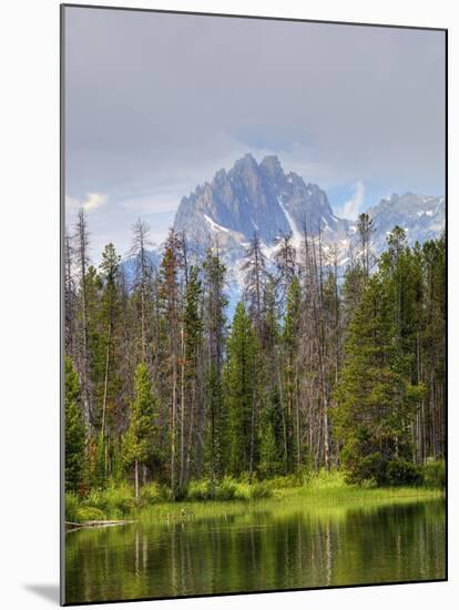 Little Redfish Lake, Sawtooth National Recreation Area, Idaho, USA-Jamie & Judy Wild-Mounted Premium Photographic Print