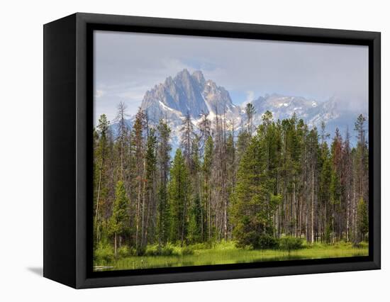 Little Redfish Lake, Sawtooth National Recreation Area, Idaho, USA-Jamie & Judy Wild-Framed Stretched Canvas