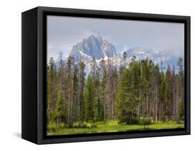 Little Redfish Lake, Sawtooth National Recreation Area, Idaho, USA-Jamie & Judy Wild-Framed Stretched Canvas