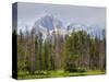 Little Redfish Lake, Sawtooth National Recreation Area, Idaho, USA-Jamie & Judy Wild-Stretched Canvas