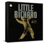 Little Richard - The Specialty Sessions-null-Framed Stretched Canvas